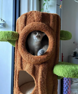 Foto da avaliação Carlos 1